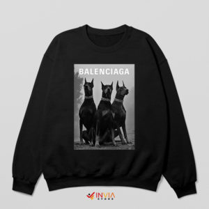 Doberman Puppies Luxury Fashion Black Sweatshirt Balencia Ga Graphic