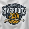 Stylish Fanwear Charleston RiverDogs Graphic Apparel