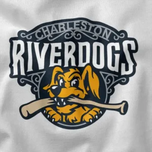 Stylish Fanwear Charleston RiverDogs Graphic Apparel