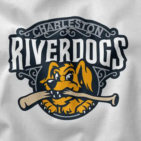 Stylish Fanwear Charleston RiverDogs Graphic Apparel