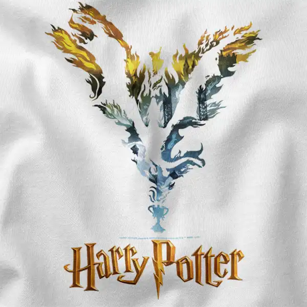 Harry Potter Dragon Flame Silhouette Graphic Merch