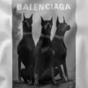 Luxury Doberman Pinscher Balenciaga Graphic Merch
