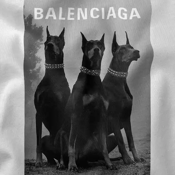 Luxury Doberman Pinscher Balenciaga Graphic Merch